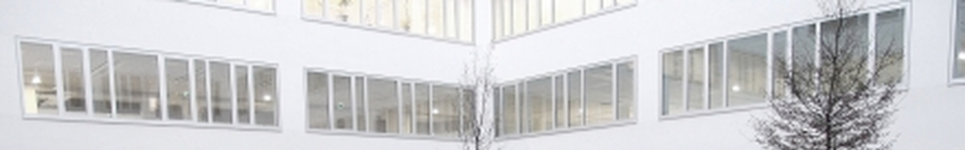 Projektek / 